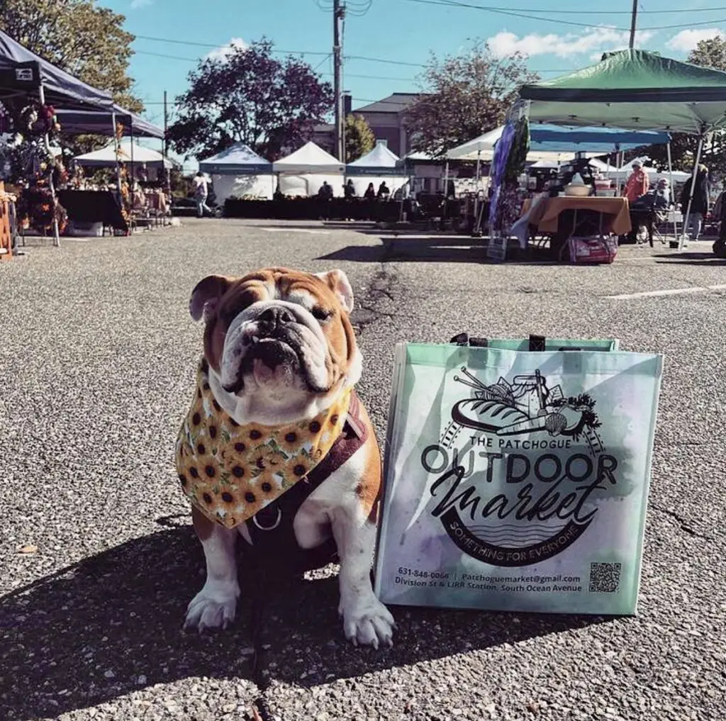 Farmers Markets