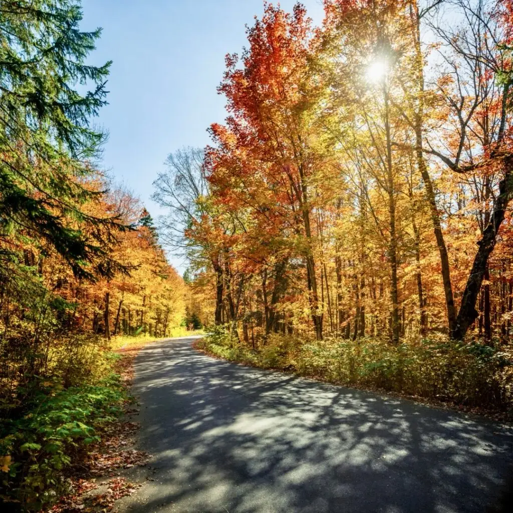 Hiking Trails on Long Island