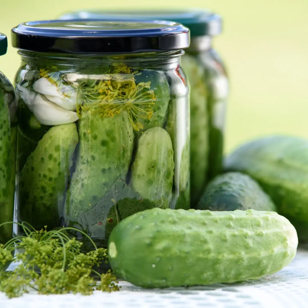 Pickle Festival