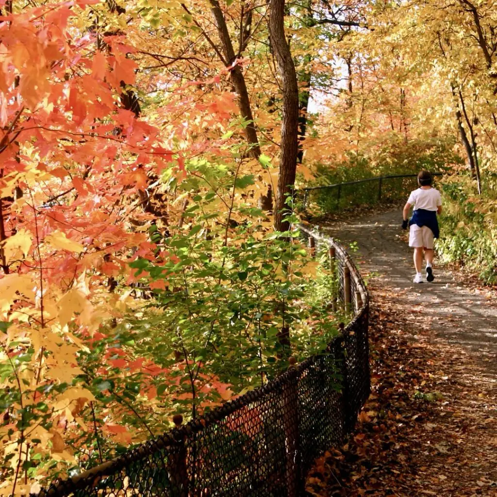 The Best Hiking Trails on Long Island in Fall Going Local Long Island