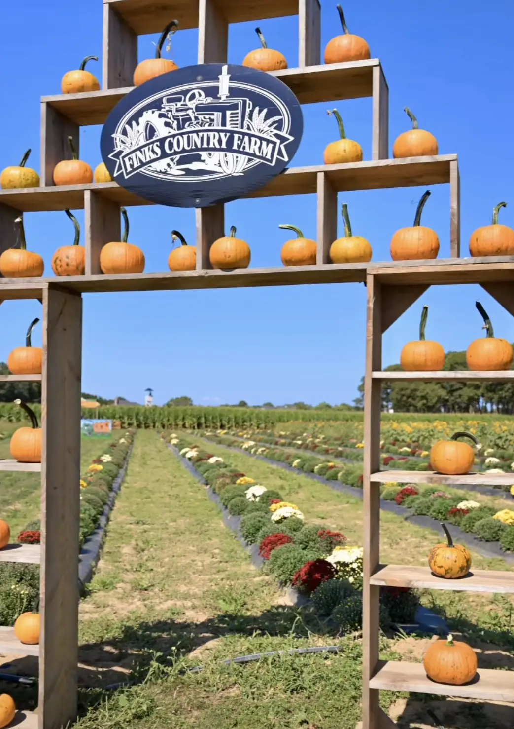 Fink's Fall Harvest Fest