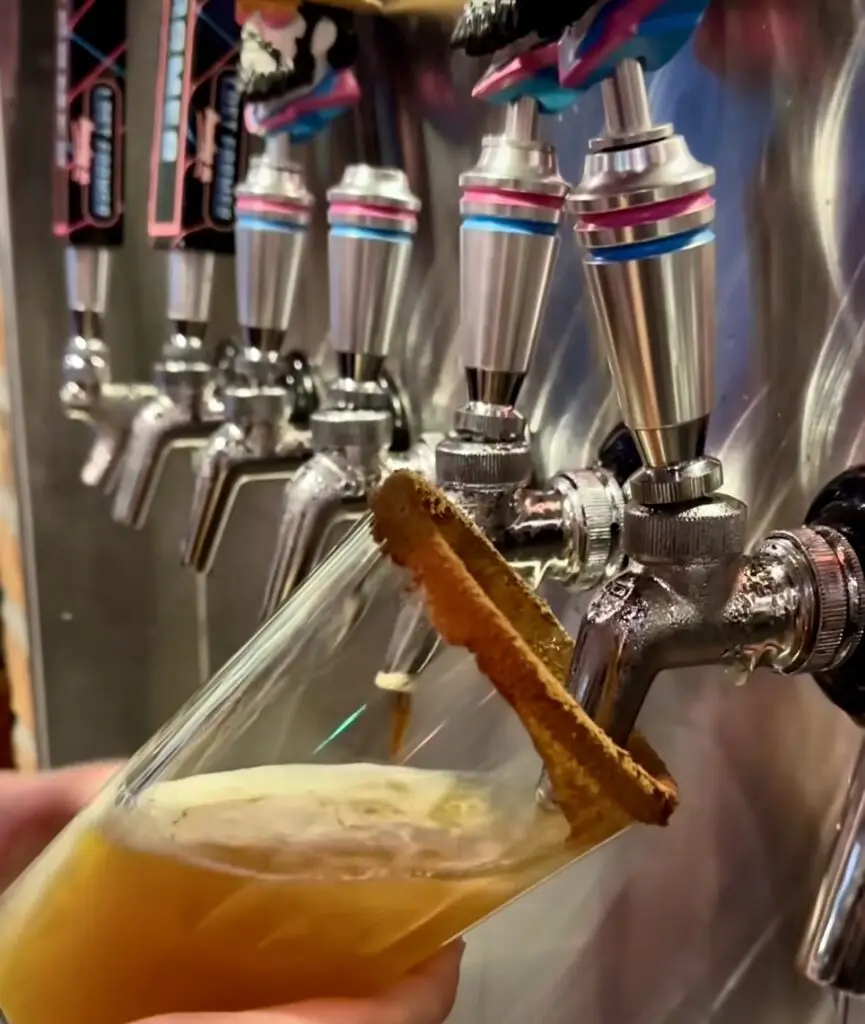 Pumpkin Beer 