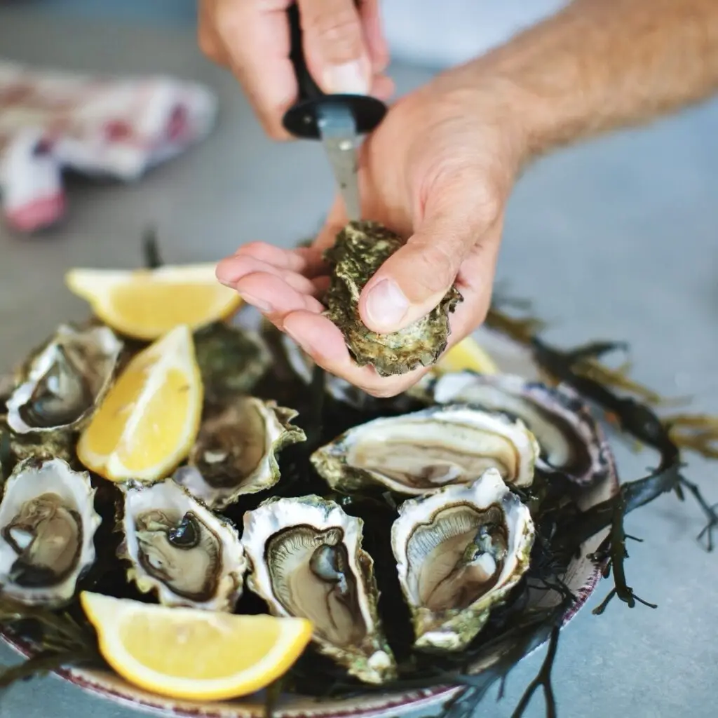 Oyster Fest