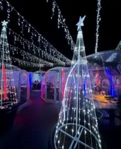 Igloo Dining