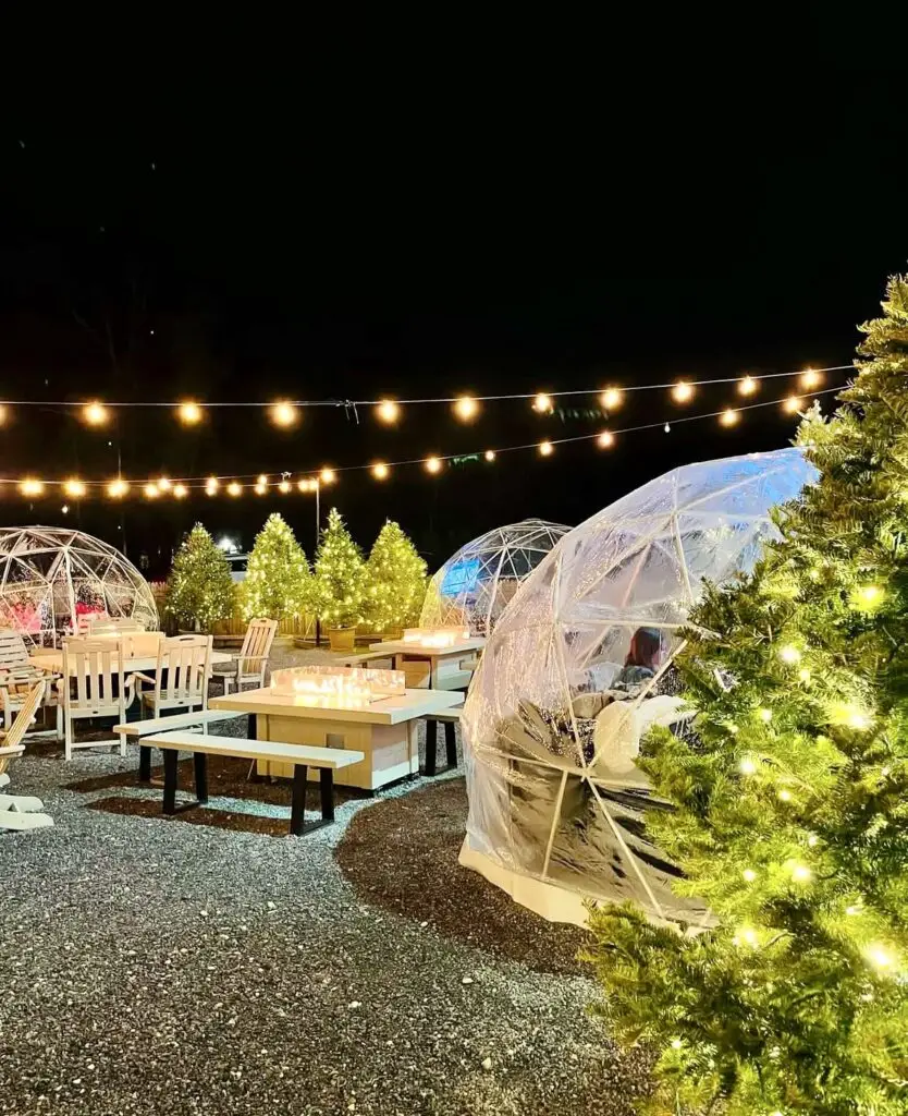 img_8134-1 – Going Local Long Island Igloo Dining