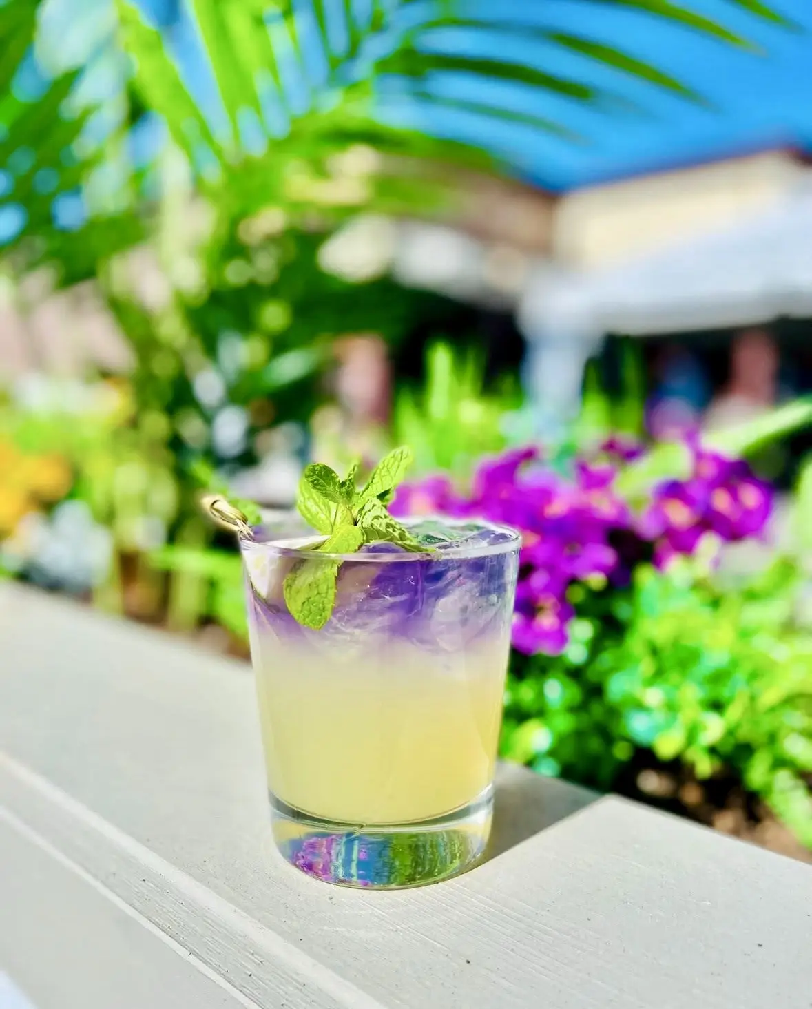 Happy Hours