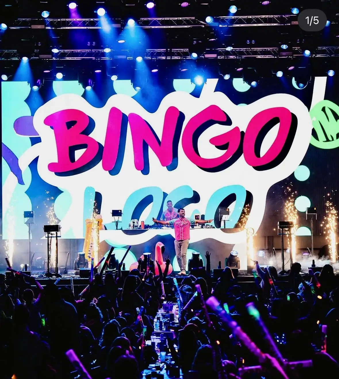 Bingo Loco