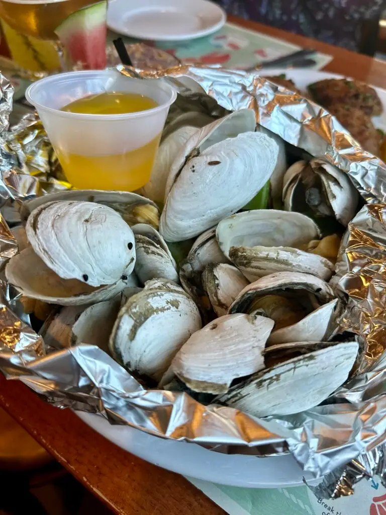 Nicky's Clam Bar