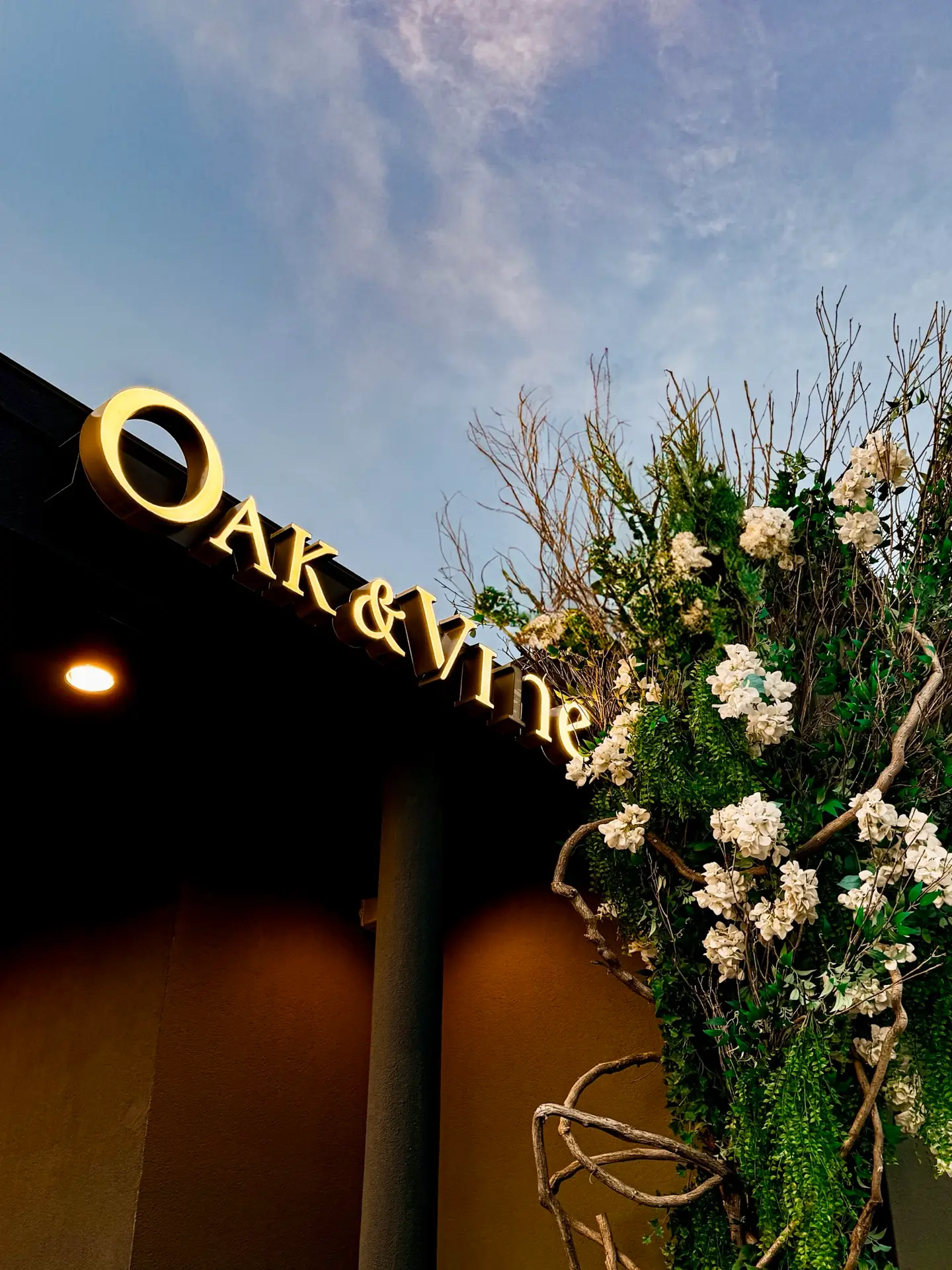Oak & Vine