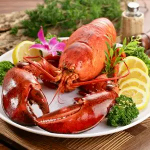 Lobster Dinner Specials