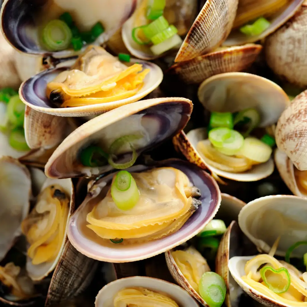 Clam Bake