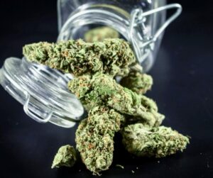 Dispensaries