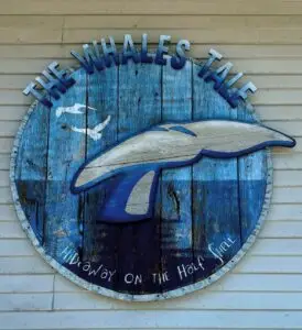 Whales Tale