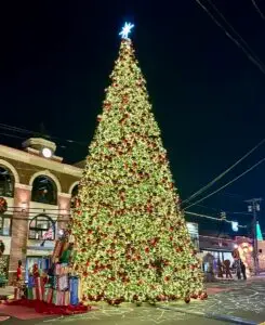 Tree Lightings