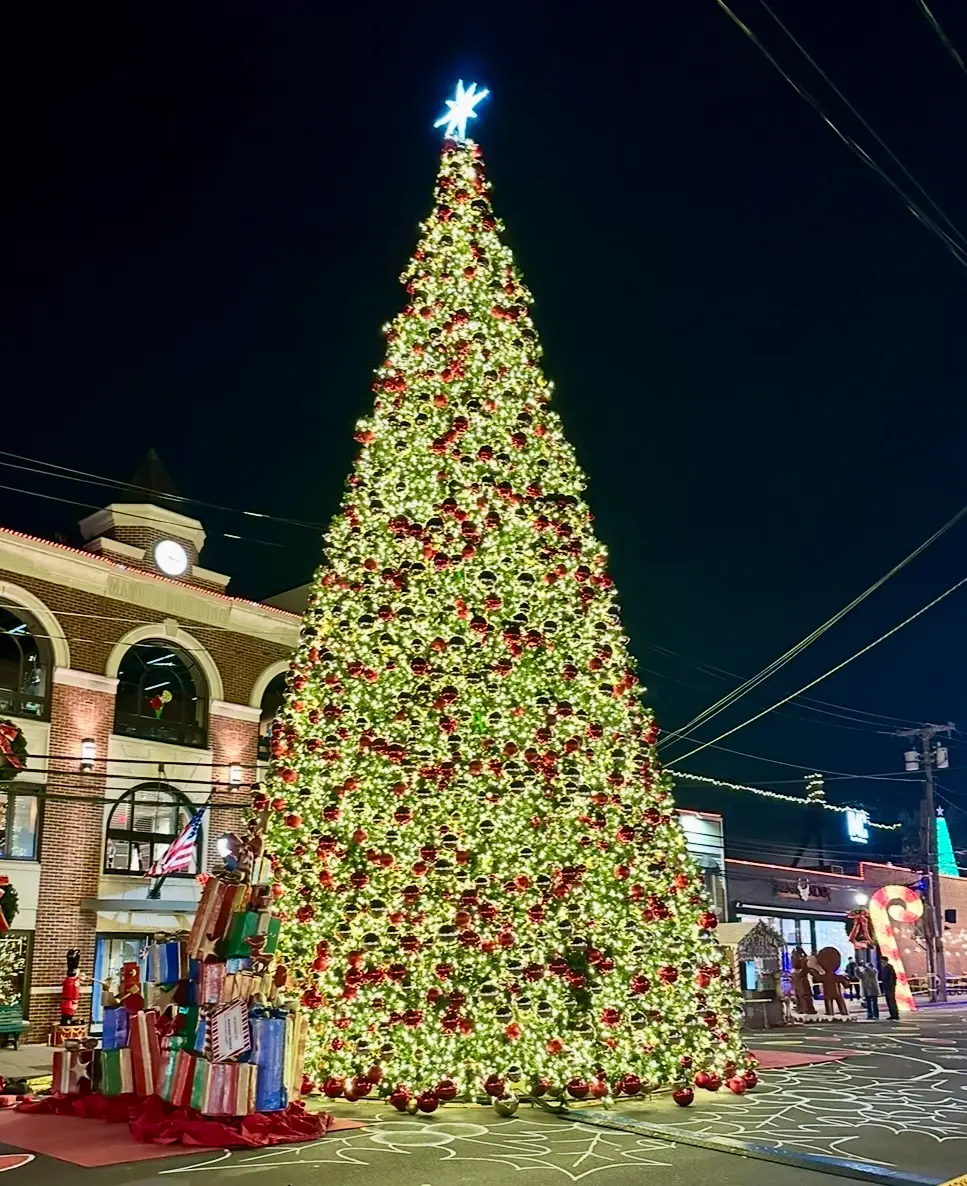 Tree Lightings